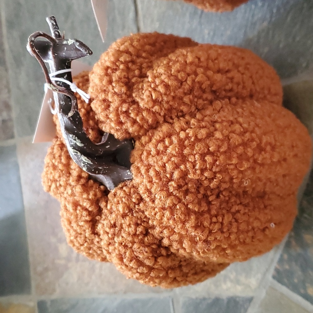 pumpkins - Picture 3 of 4